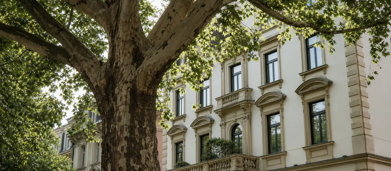 Baum fällen Frankfurt: Genehmigung, Baumschutz & Strafen