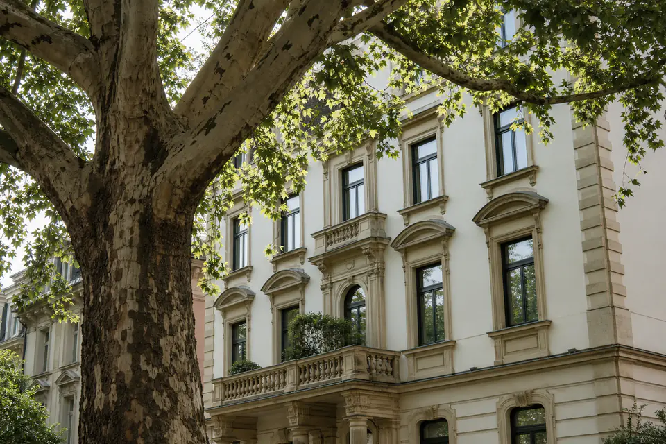 Baum fällen Frankfurt: Genehmigung, Baumschutz & Strafen