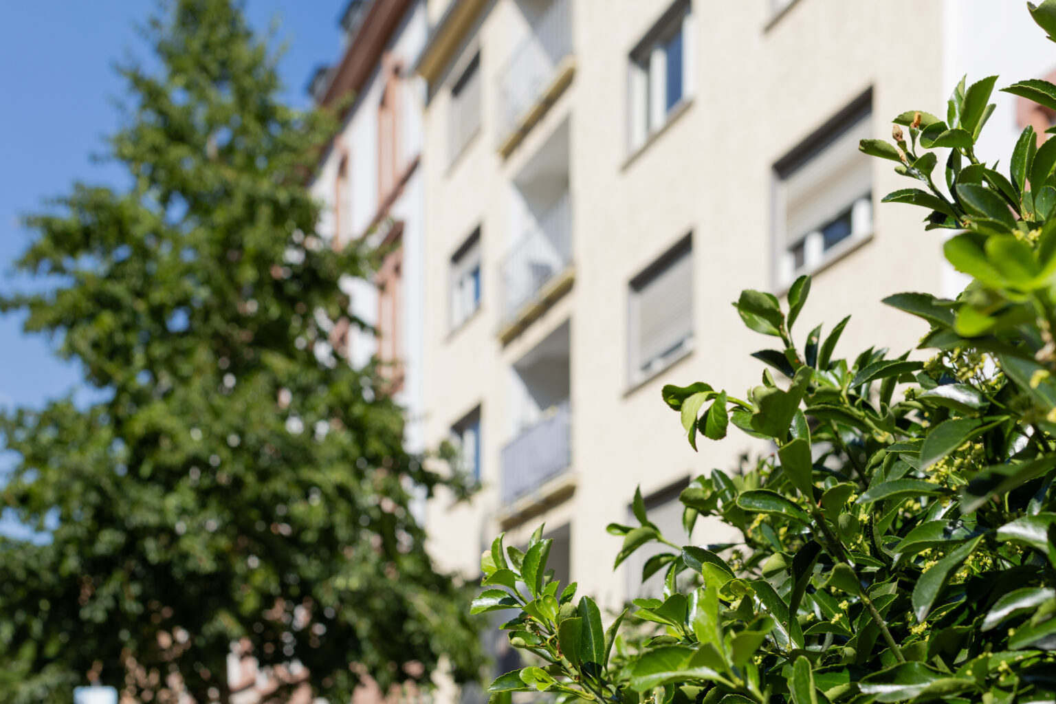 Charmantes Apartment mit Sonnenbalkon im Frankfurter Nordend Charmantes Apartment mit Sonnenbalkon im Frankfurter Nordend